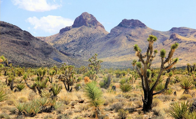 Mỹ công nhận 2 khu bảo tồn thiên nhiên hoang dã là di tích quốc gia ảnh 1