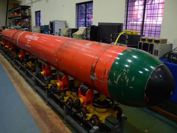 Hải quân Ấn Độ đưa vào sử dụng ngư lôi tự chế tạo Varunastra ảnh 1