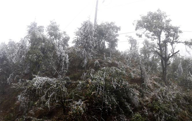 132 trường học ở Lai Châu cho học sinh nghỉ học vào ngày 11/1 ảnh 1