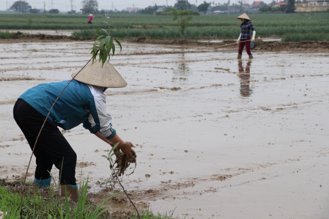 CIEM: Tình trạng nữ hóa lao động di cư luôn ở mức cao ảnh 2