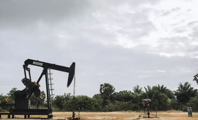 CHDC Congo khởi động cuộc đấu giá gây tranh cãi cho 30 lô dầu khí ảnh 1