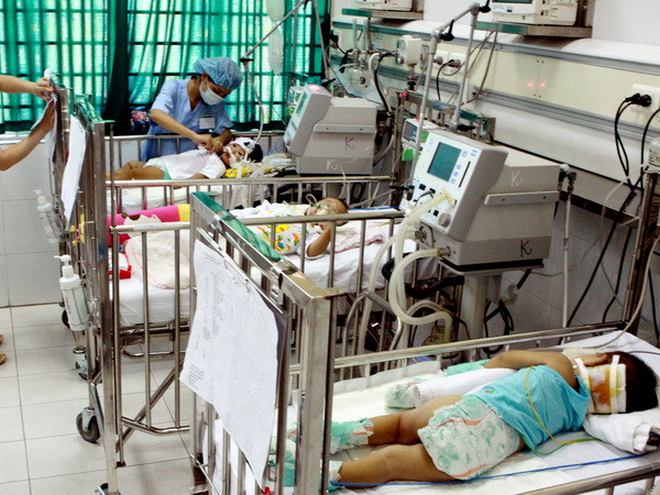 Hà Nội tăng cường phòng chống bệnh viêm não Nhật Bản ảnh 1