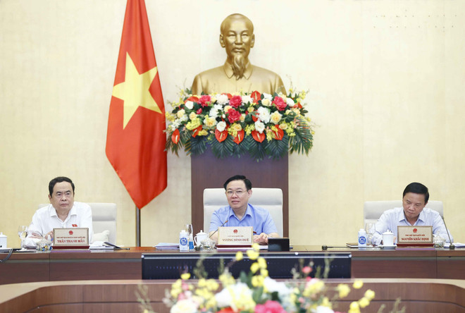 Giám sát việc huy động và sử dụng nguồn lực phòng, chống COVID-19 ảnh 2