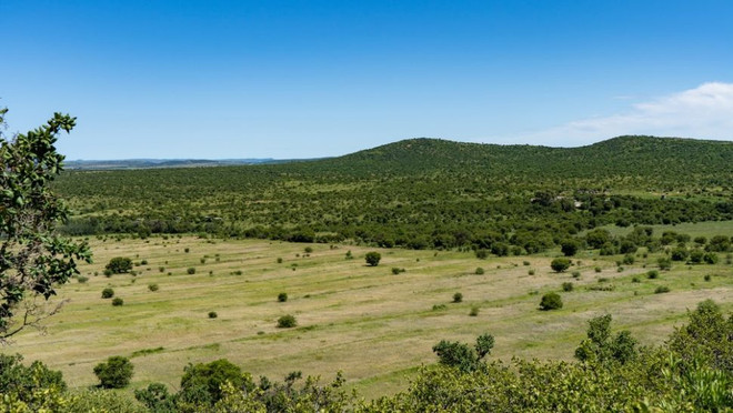 Thông tin bất ngờ về tiểu hành tinh lớn nhất từng đâm vào Trái Đất ảnh 2