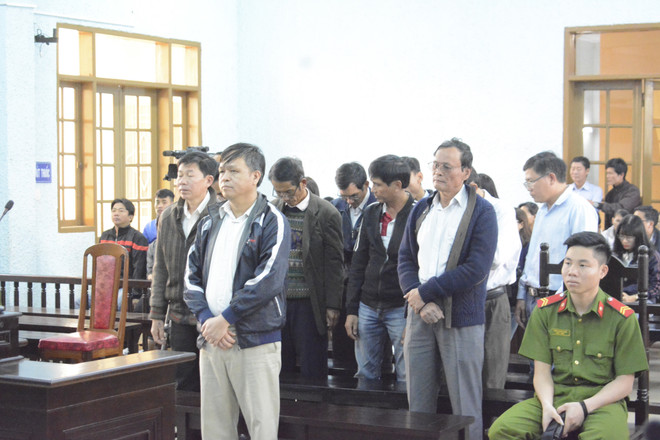 Gia Lai: 200 tháng tù với 12 đối tượng sai phạm về quản lý đất rừng ảnh 1