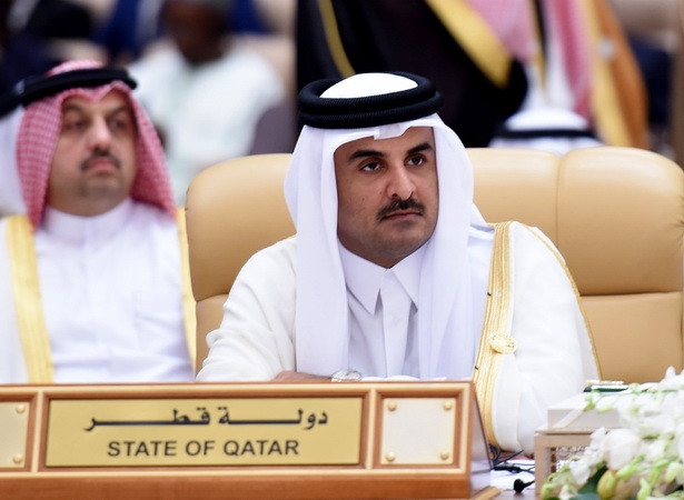 Qatar, Saudi Arabia điện đàm về đối thoại giải quyết khủng hoảng ảnh 1