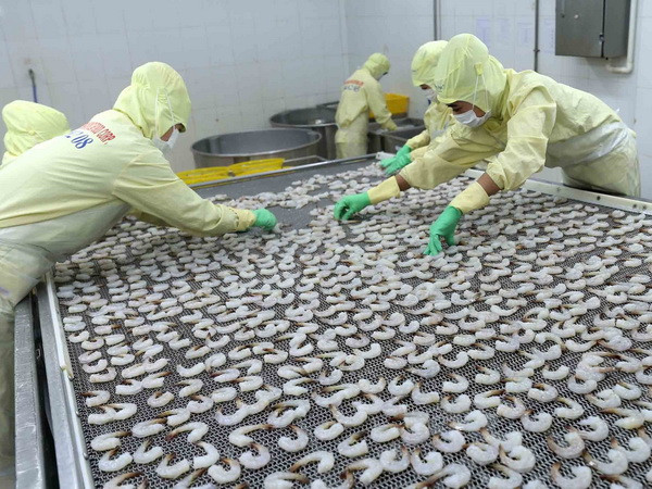 Khắc phục tình trạng các lô hàng thủy sản Việt Nam bị trả về ảnh 1
