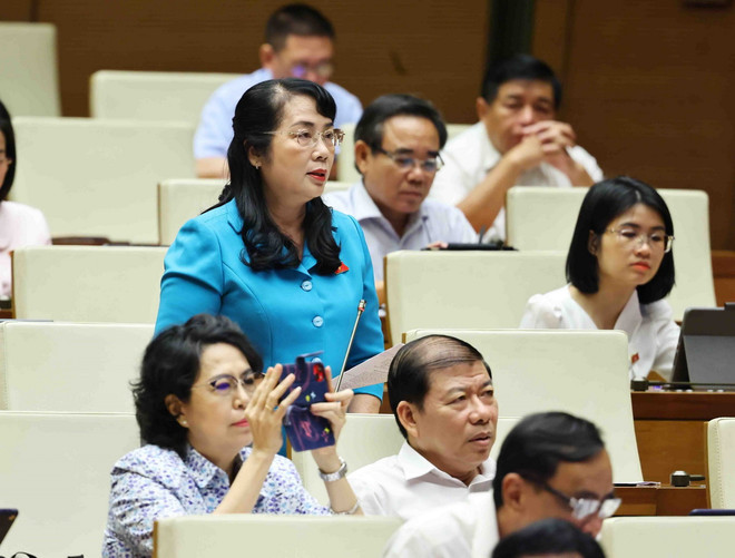 Đại biểu Quốc hội tỉnh Thái Bình Trần Khánh Thu phát biểu ý kiến. (Ảnh: Minh Đức/ TTXVN) TTXVN_2905daibieuQuochoi.jpg