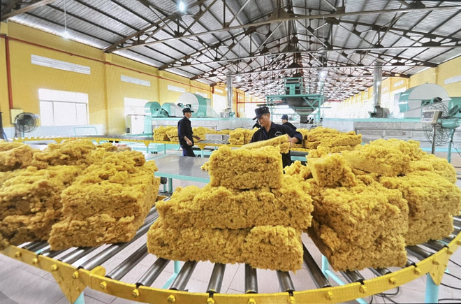 Đóng gói cao su chế biến tại Công ty Cổ phần cơ khí cao su BRC. (Ảnh: Hồng Nhung/ TTXVN) TTXVN_2905caosu2.jpg.jpeg
