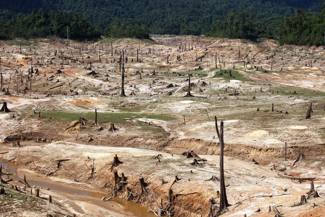 Các ‘ông lớn’ không cấp đủ than, EVN xin nhập khẩu thêm 'vàng đen' ảnh 4