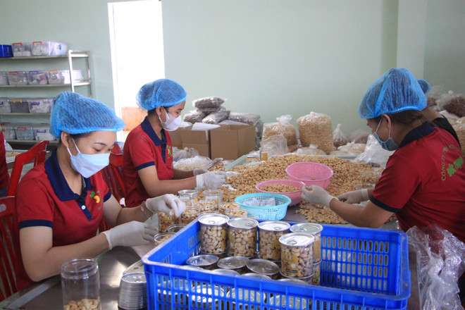 ttxvn che bien dieu.jpg