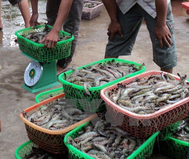 Sự kiện trong nước 19-25/9: Khoán kinh phí xe công đưa đón lãnh đạo ảnh 10