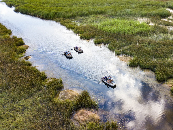 Quỹ Môi trường toàn cầu luôn đồng hành hỗ trợ Việt Nam ảnh 1