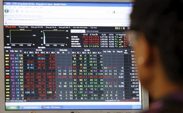 Ảnh minh họa. (Nguồn: Reuters) HOSE: Cổ phiếu HVG sẽ tạm ngừng giao dịch từ ngày 15/5 ảnh 1