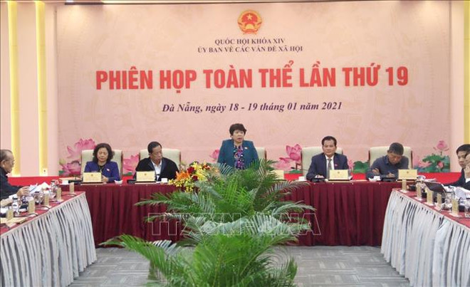 Phiên họp toàn thể lần thứ 19 Ủy ban về các vấn đề xã hội của Quốc hội ảnh 1