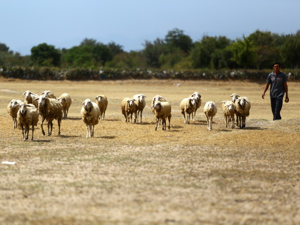Miền Bắc dứt mưa, trời nắng ráo, nhiệt độ Hà Nội lên đến 33 độ C ảnh 1