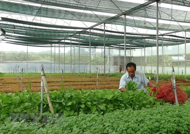 Xếp hạng 13 tỉnh, thành quản lý tốt thực phẩm nông, lâm, thủy sản ảnh 1