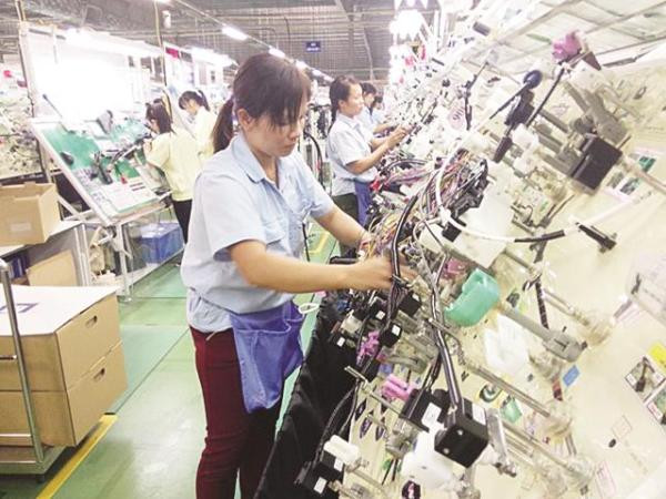 Hanel chuẩn bị bán đấu giá 19,1 triệu cổ phần trên sàn HNX ảnh 1