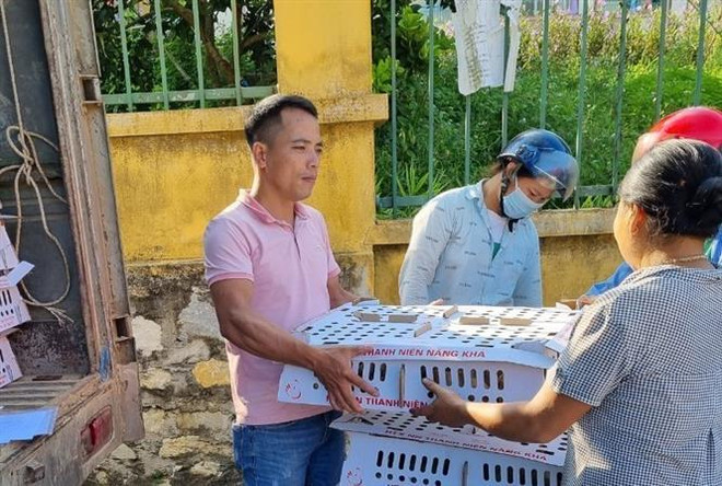 Du lịch dưới tán rừng - Hướng đi mới của tuổi trẻ Tuyên Quang ảnh 2