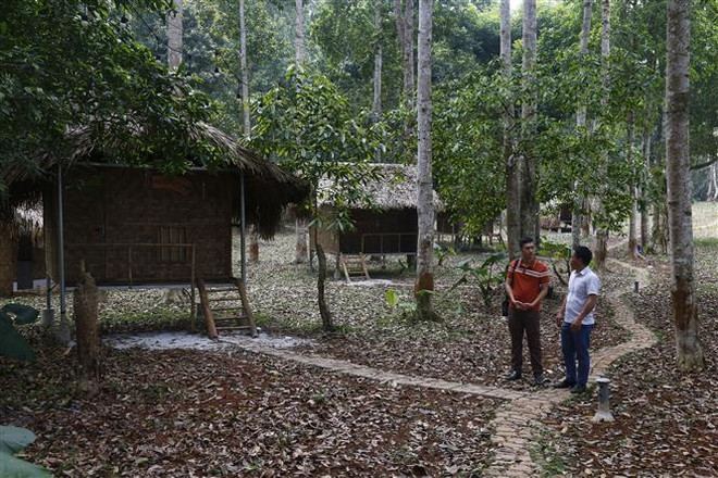 Du lịch dưới tán rừng - Hướng đi mới của tuổi trẻ Tuyên Quang ảnh 1