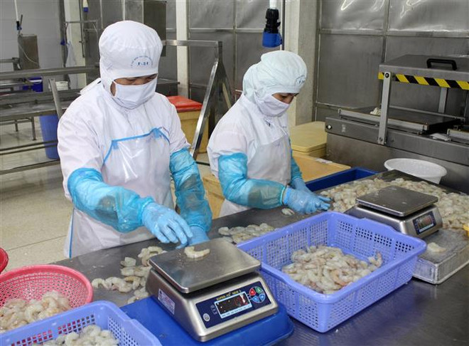 10 năm Chiến lược biển: Hiệu quả từ phát triển nguồn nhân lực ảnh 2