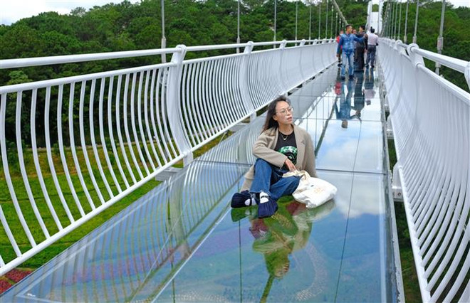 Đề nghị công khai đường dây "nóng" du lịch xử lý nhanh các tình huống ảnh 1