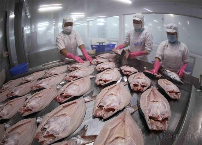 Cấp đông sản phẩm cá tra nguyên con xuất khẩu tại nhà máy chế biến thủy sản của Tập đoàn Sao Mai, An Giang. (Ảnh: Vũ Sinh/TTXVN) Hoa Kỳ rà soát thuế chống phá giá một số sản phẩm của Việt Nam ảnh 1