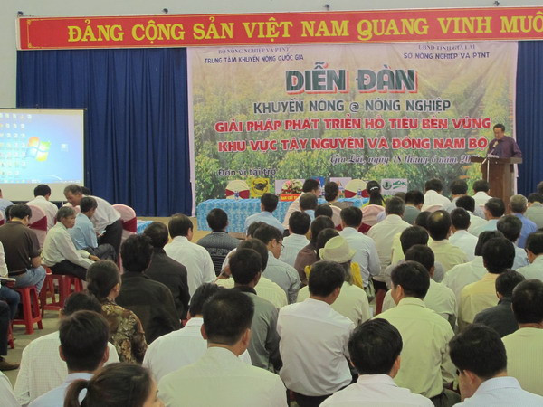 Phát triển bền vững hồ tiêu ở khu vực Đông Nam bộ và Tây Nguyên ảnh 1