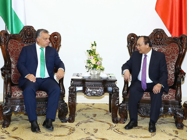 Việt Nam luôn ưu tiên củng cố phát triển quan hệ với Hungary ảnh 1