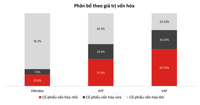 Quản lý 3,3 tỷ USD, VinaCapital nhắm vào công nghệ và bất động sản ảnh 1