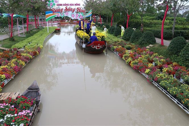 Người dân làm du lịch tại Khu Du lịch cánh đồng hoa hồng ở phường Tân Quy Đông, thành phố Sa Đéc, Đồng Tháp. (Ảnh minh họa: Nguyễn Văn Trí/TTXVN) 1,6 triệu lao động nông thôn ĐBSCL sẽ được đào tạo, chuyển đổi nghề ảnh 1