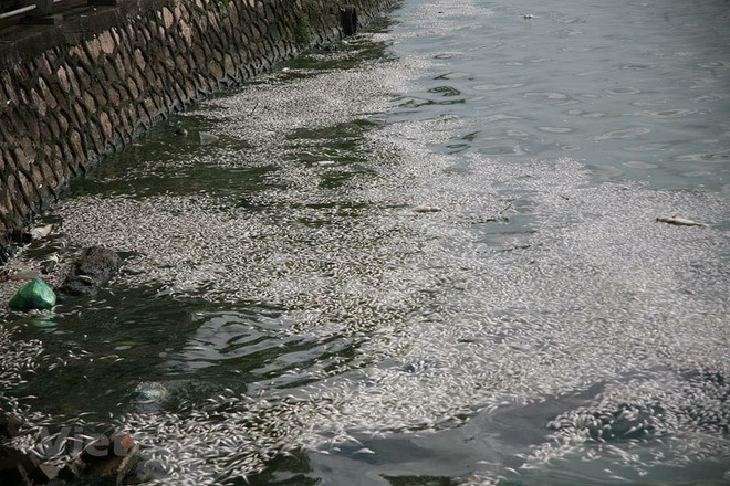 Sự kiện trong nước 2-8/7: Facebook và sự cố về "Hoàng Sa" ảnh 6