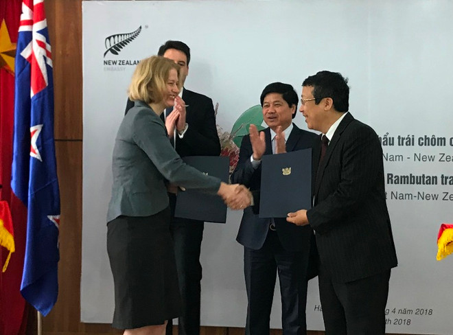 Lễ công bố Xuất khẩu chôm chôm của Việt Nam sang New Zealand, ngày 10/4. (Ảnh: PV/vietnam+) Chôm chôm Việt Nam chính thức thâm nhập vào thị trường New Zealand ảnh 1