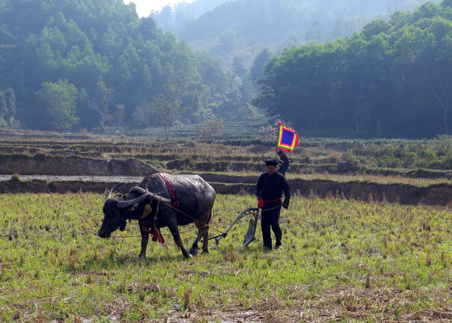 Thái Nguyên: Rộn ràng lễ hội Lồng Tồng ở chiến khu Việt Bắc ảnh 1