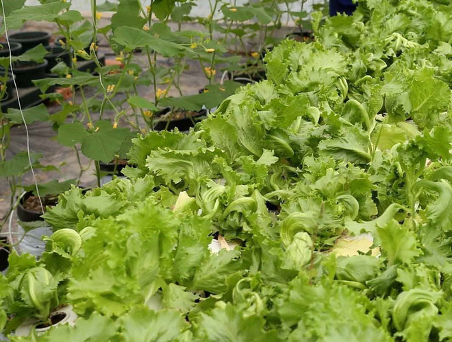 Nguyên giám đốc sở vi phạm Luật Phòng chống tham nhũng ảnh 1