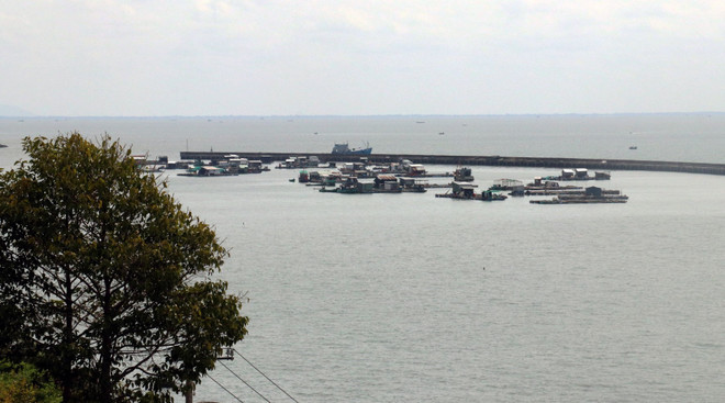 Bảo tồn biển Việt Nam: Giải pháp để phát triển bền vững kinh tế biển ảnh 1