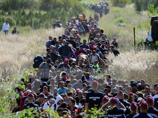 EC triệu tập cuộc họp bất thường đối phó khủng hoảng di cư ảnh 1