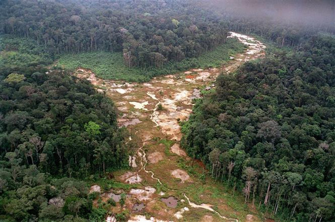 Khoảng rừng Amazon bị chặt phá tại Brazil. (Ảnh: AFP/ TTXVN) Tổng thống Brazil ký sắc lệnh thành lập Hội đồng quốc gia Amazon ảnh 1