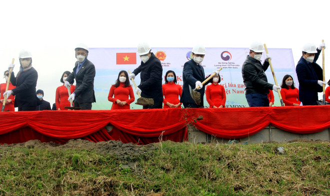 Khởi động dự án cải tiến chuỗi giá trị lúa gạo Đồng bằng sông Hồng ảnh 2