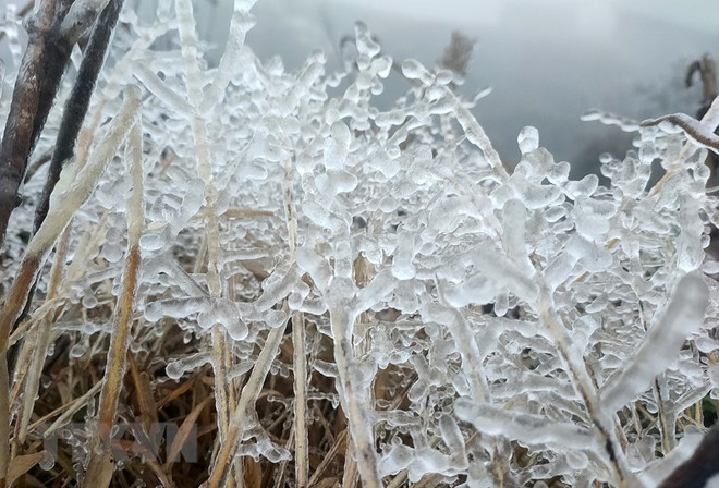 Từ đêm 22/2, không khí lạnh tiếp tục tăng cường gây rét hại tại Bắc Bộ ảnh 1