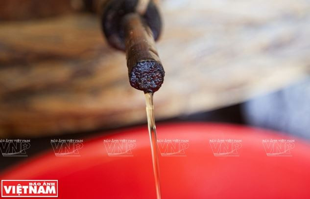 Phát huy tinh hoa nghề làm nước mắm Phú Yên - Di sản văn hóa quốc gia ảnh 1