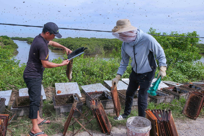 ttxvn rung ngap man Nam Dinh.jpg