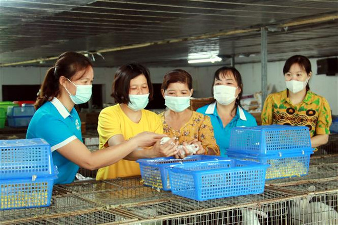 Bình đẳng giới để đạt mục tiêu phát triển bền vững ảnh 1