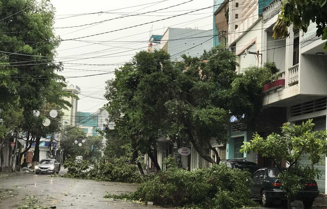 Đắk Lắk: Gió bão giật bay tấm tôn làm 1 người tử vong tại chỗ ảnh 1