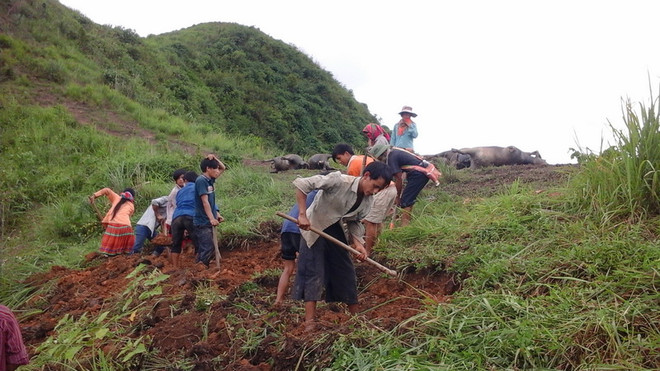 Hải Phòng: 5 người làm đồng bất ngờ bị sét đánh gây thương vong ảnh 1