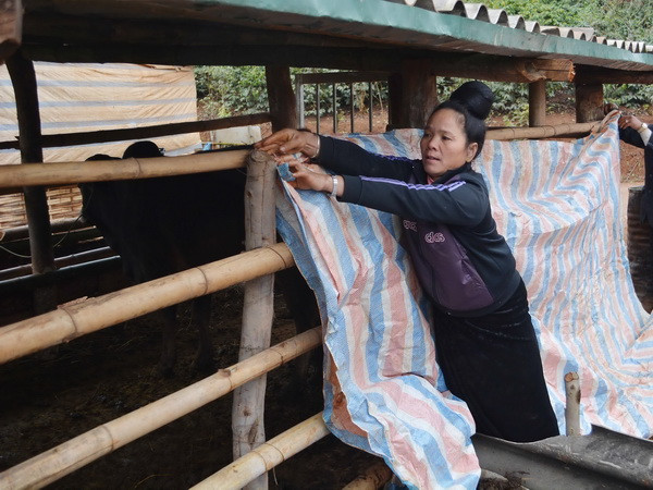 Nhiệt độ về đêm giảm sâu, Bắc Bộ vẫn có nơi rét dưới 8 độ C ảnh 1