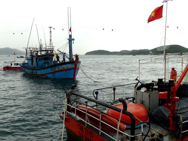 Phú Yên: Tìm kiếm 3 ngư dân mất tích trên biển khi câu mực ảnh 1