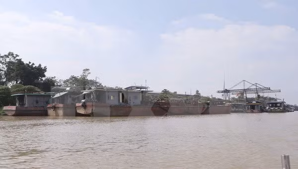 Đình chỉ tổ công tác không xử lý vụ xả thải xuống sông Hồng ảnh 1