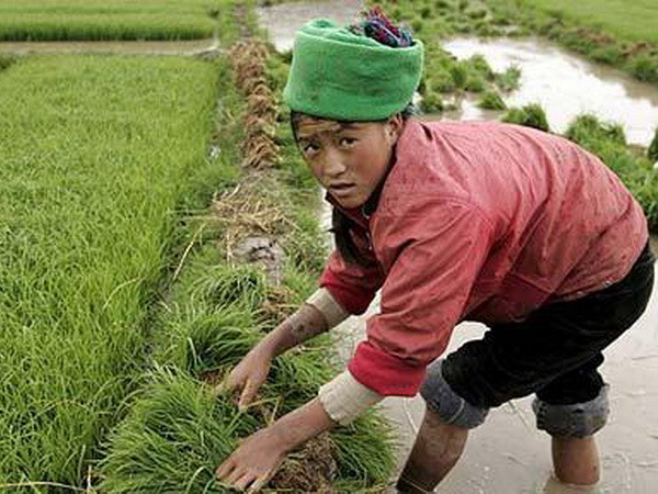 Trung Quốc thí điểm mở rộng quyền sở hữu cho nông dân ảnh 1