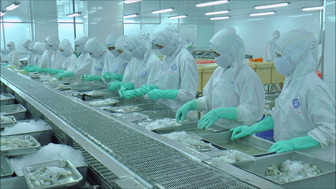 Triển vọng kinh tế 2021: Việt Nam sẽ là ''điểm sáng'' ảnh 1